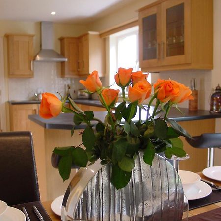 Ardmullen Villa Kenmare Ngoại thất bức ảnh